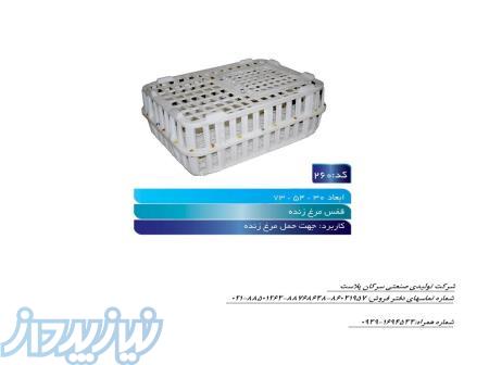 قفس مرغ زنده