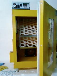 دستگاه جوجه کشی مدبر