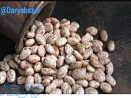 عرضه مستقیم حبوبات 