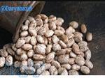 عرضه مستقیم حبوبات 