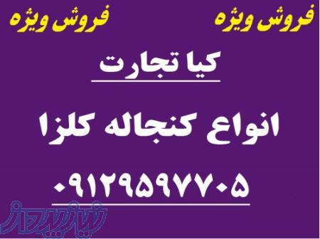 فروش انواع کنجاله