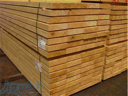 وارد کننده چوب نراد روسی 