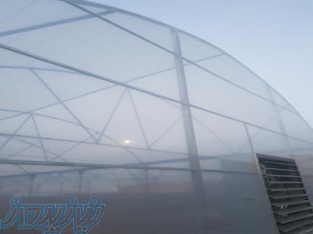 نایلون عرض 10 متر 10  uv 