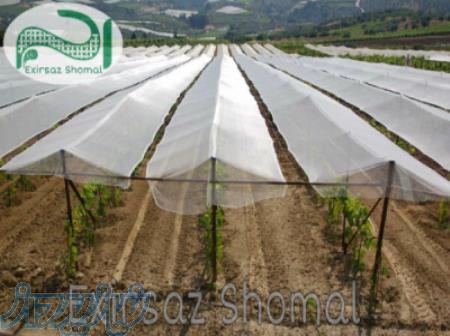 توری ضد تگرگ