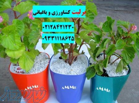 پرلیت کشاورزی 