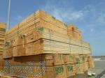 خرید و فروش چوب و ملزومات ساختمان با قیمت ارزان در فروشگاه حقانی 