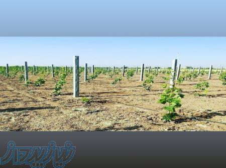 فروش تیرچه بتونی