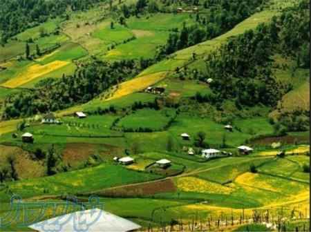 فروش امن زمین های مسکونی، باغی و زراعی در استان گیلان (لاهیجان، لنگرود و حومه) با قیمت های استثنائی 