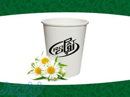 گروه تولیدی روپات 