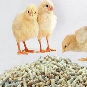 دان آماده مرغ و بوقلمون