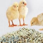 دان آماده مرغ و بوقلمون