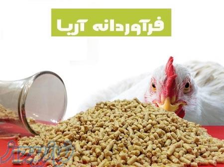 فروش دان مرغ بصورت کلی و جزئی