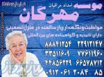 حرفه ای ترین تیم مراقبت و نگهداری از بیمار در بیمارستان با خدمات و سرویس ویژه
