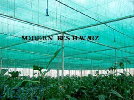 توری سایبان (شید) گلخانه در عرض های مختلف با 50  سایه اندازی 