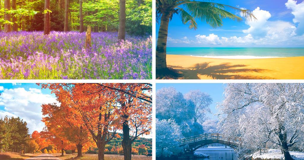 ارتباط فصل مورد علاقه با شخصیت اشخاص چیست؟