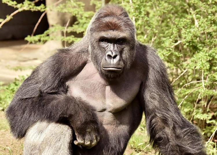 21 رویدادی که سال 2016 را به کام همه تلخ کرد