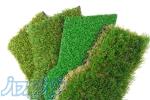 فروشگاه اینترنتی وای توی