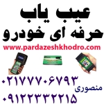 عیب یاب حرفه ای