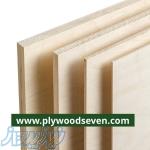 پليوود روسى